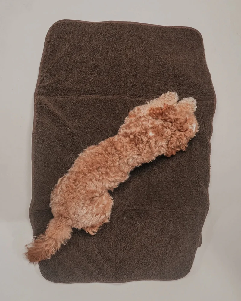 By Teddy Quilted Pet Settle Mat Tote | 2-in-1 | Sherpa