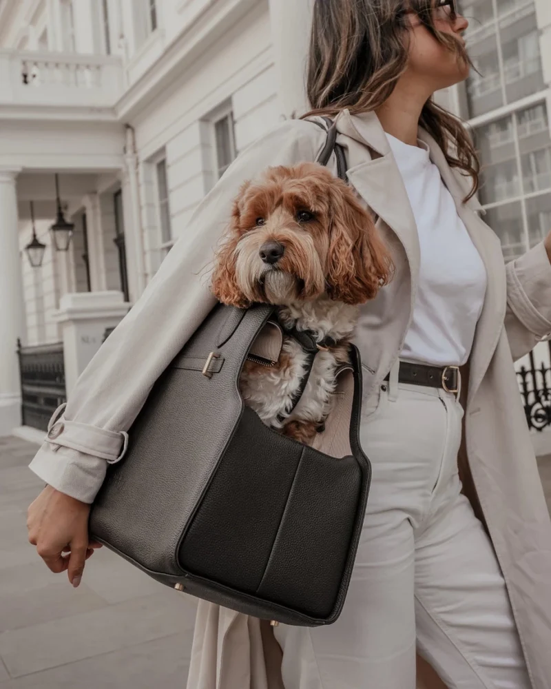 By Teddy The Studio Pet Carrier | Premium Vegan Leather Dog Carrier