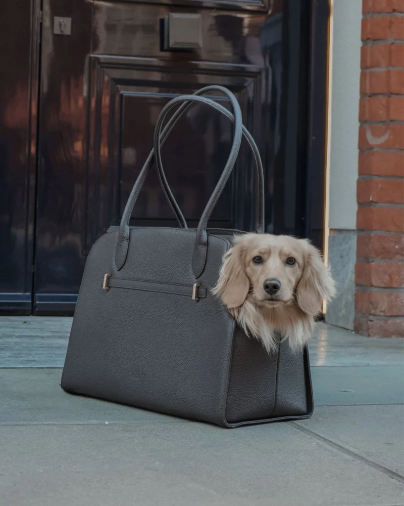 By Teddy The Studio Pet Carrier | Premium Vegan Leather Dog Carrier