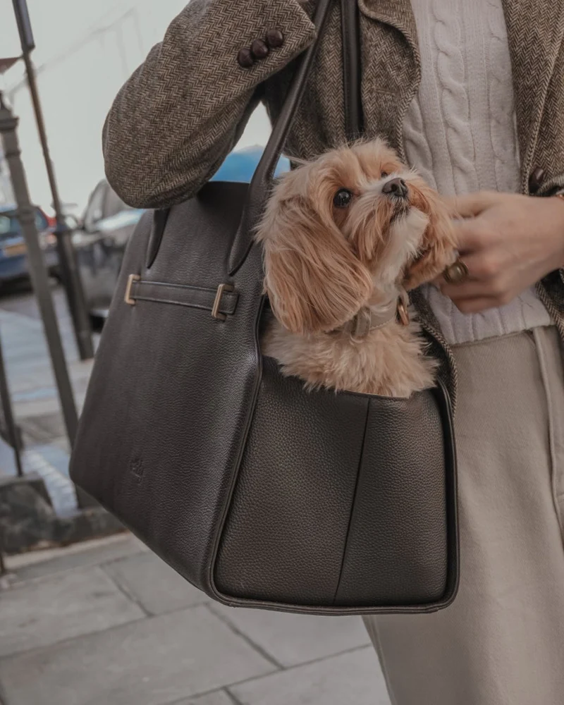 By Teddy The Studio Pet Carrier | Premium Vegan Leather Dog Carrier