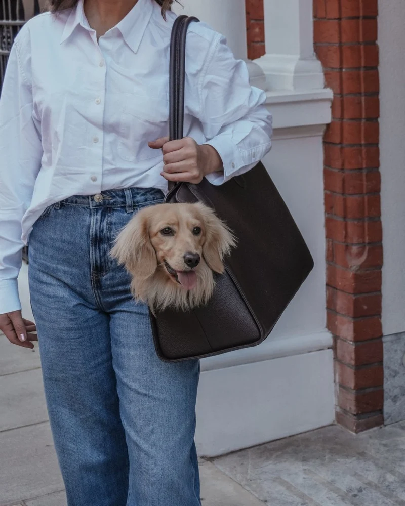 By Teddy The Studio Pet Carrier | Premium Vegan Leather Dog Carrier
