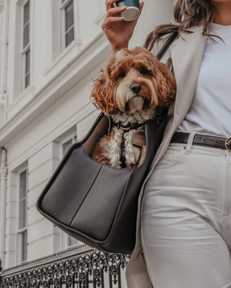 By Teddy The Studio Pet Carrier | Premium Vegan Leather Dog Carrier