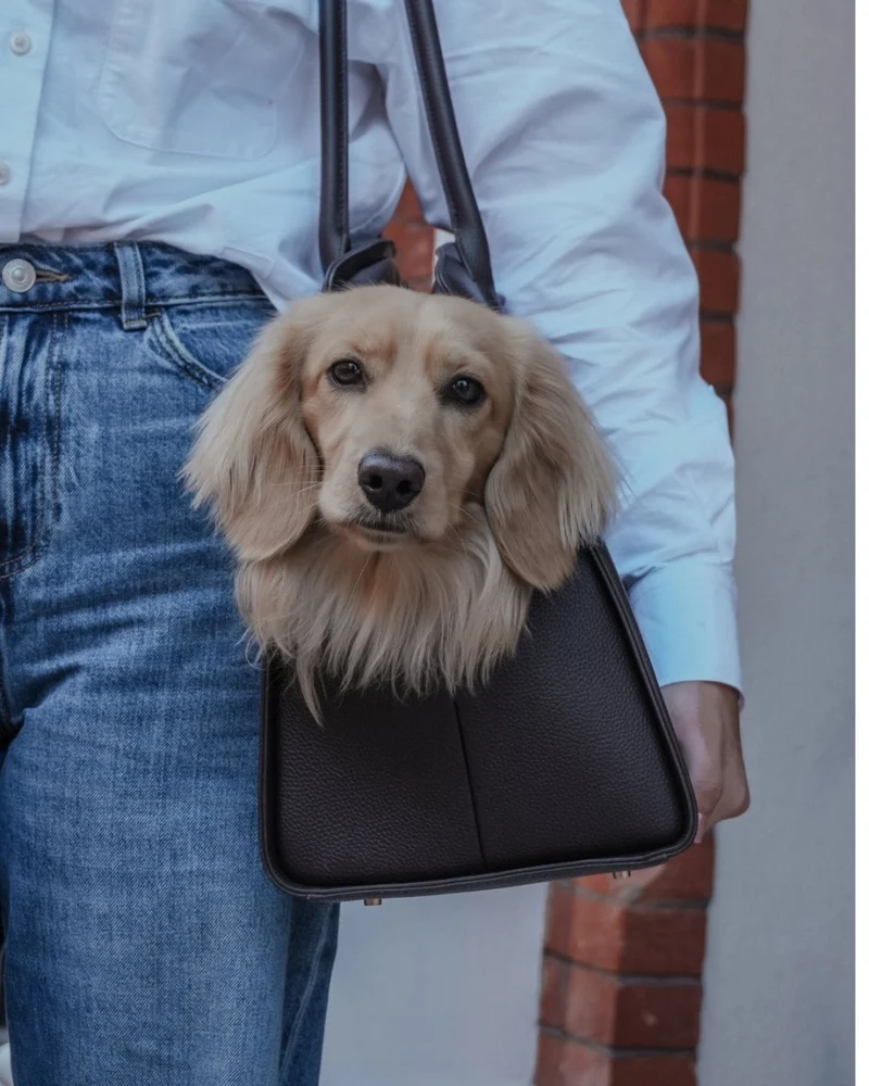By Teddy The Studio Pet Carrier | Premium Vegan Leather Dog Carrier