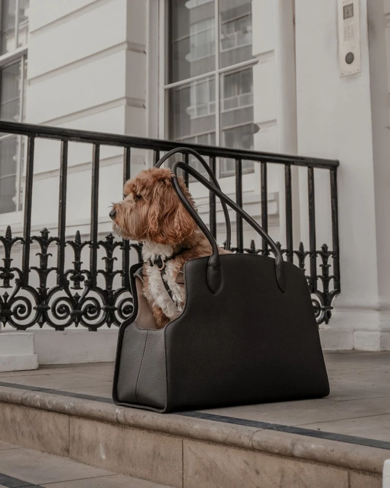 By Teddy The Studio Pet Carrier | Premium Vegan Leather Dog Carrier