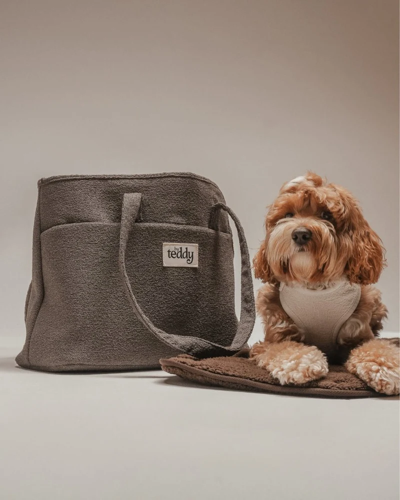 By Teddy Bouclé Pet Carrier | 2-in-1