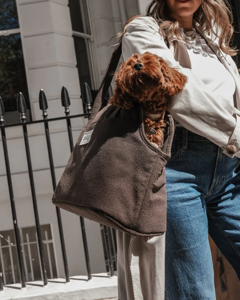 By Teddy Bouclé Pet Carrier | 2-in-1