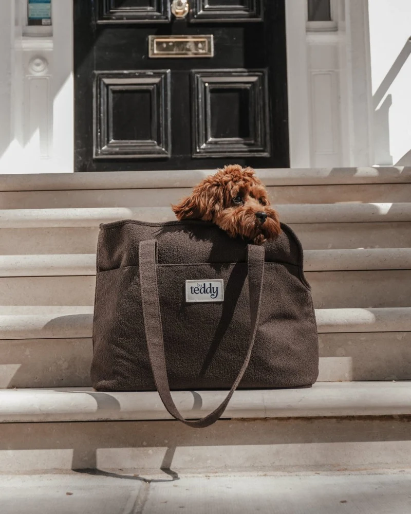 By Teddy Bouclé Pet Carrier | 2-in-1