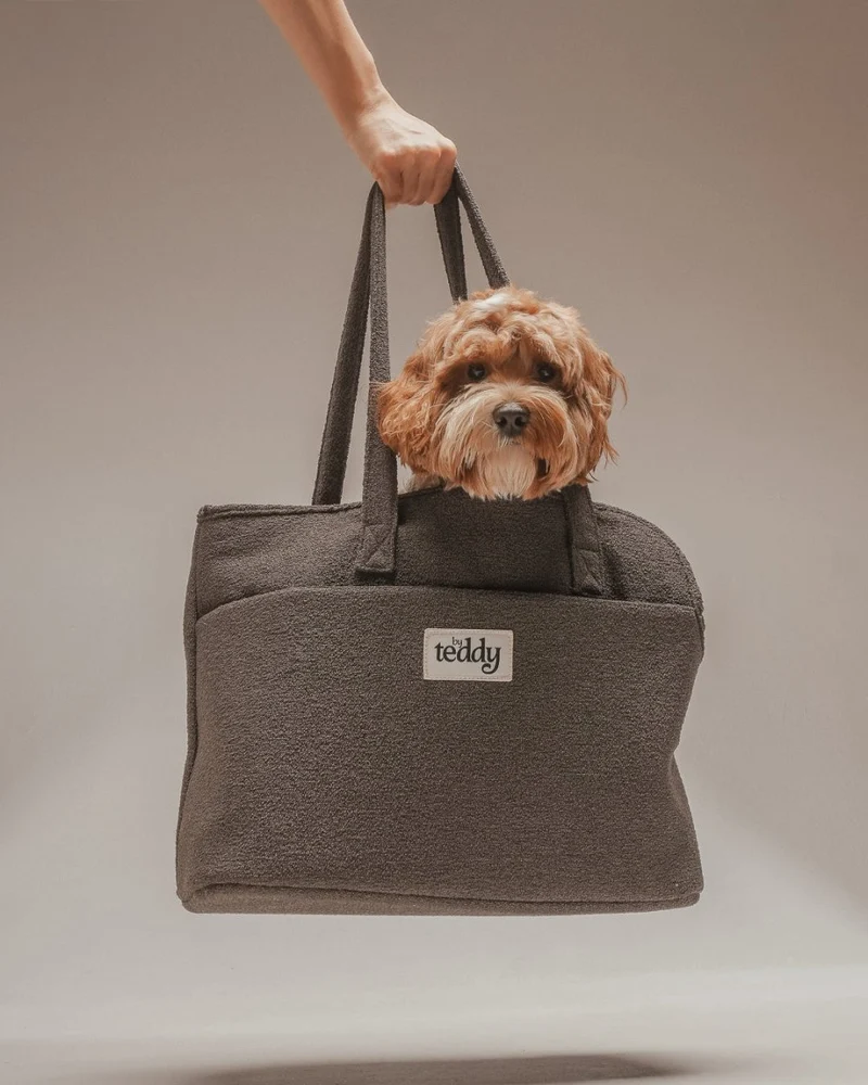 By Teddy Bouclé Pet Carrier | 2-in-1