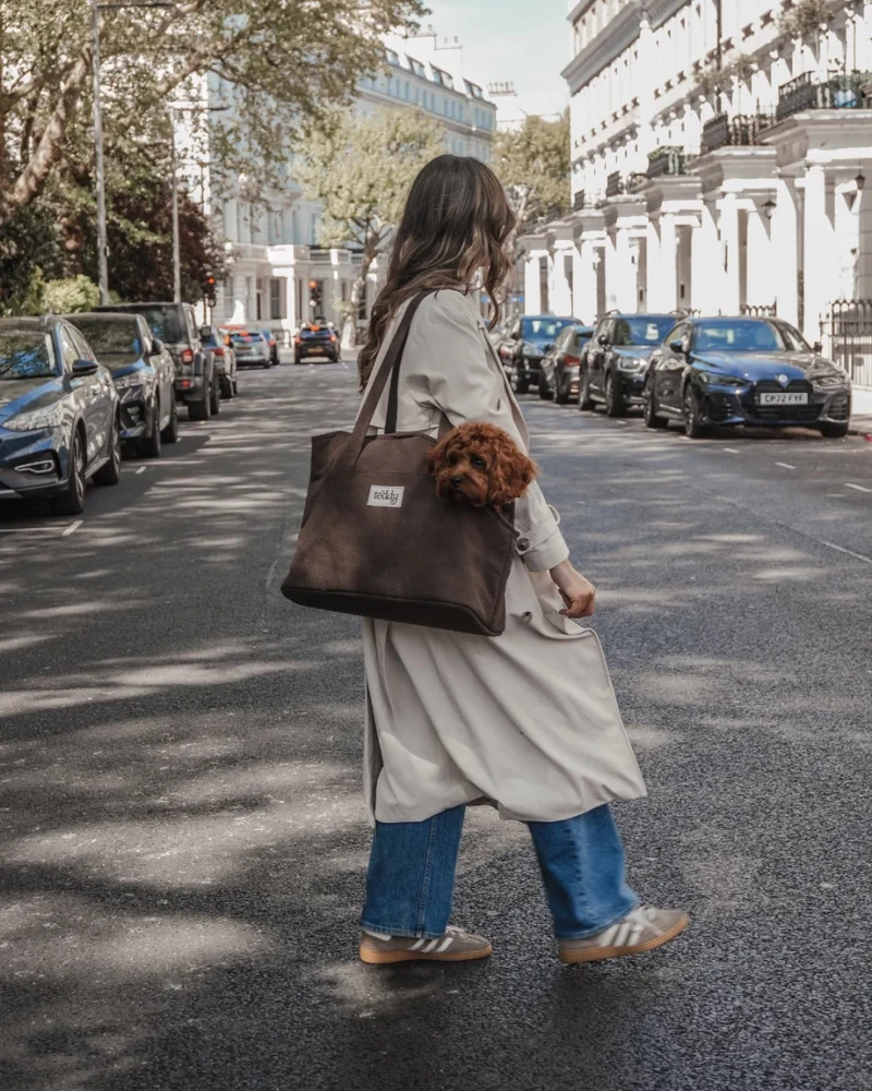 By Teddy Bouclé Pet Carrier | 2-in-1