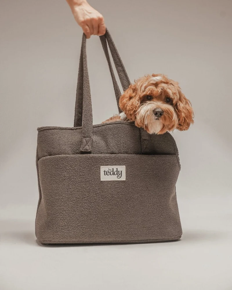 By Teddy Bouclé Pet Carrier | 2-in-1