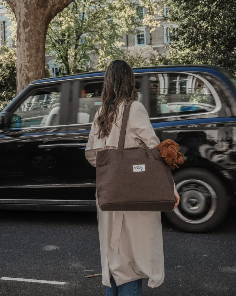 By Teddy Bouclé Pet Carrier | 2-in-1