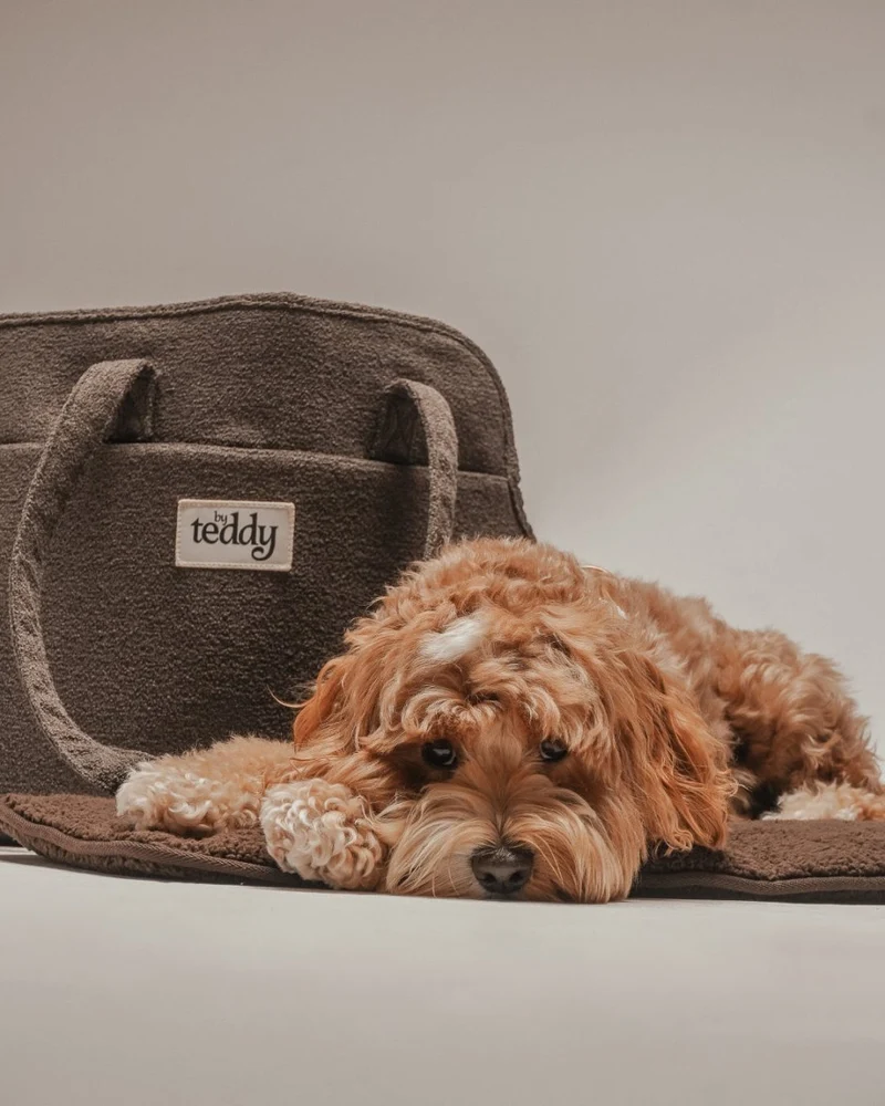 By Teddy Bouclé Pet Carrier | 2-in-1