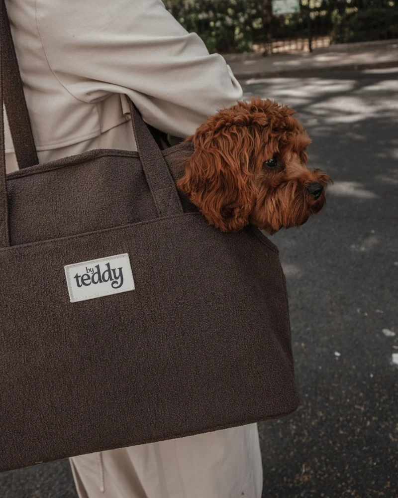 By Teddy Bouclé Pet Carrier | 2-in-1