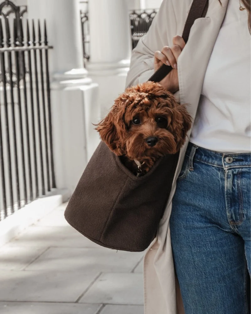 By Teddy Bouclé Pet Carrier | 2-in-1