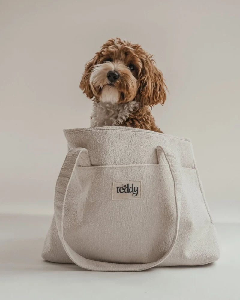 By Teddy Bouclé Pet Carrier | 2-in-1