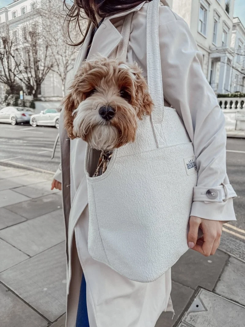 By Teddy Bouclé Pet Carrier | 2-in-1