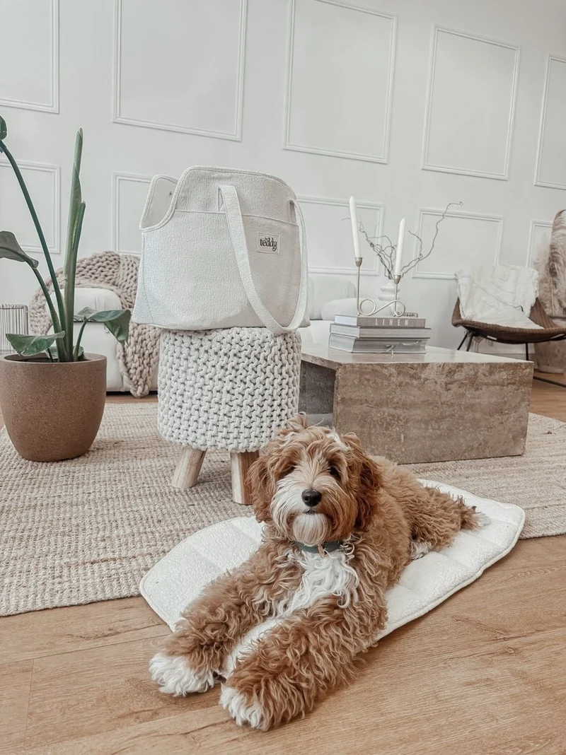 By Teddy Bouclé Pet Carrier | 2-in-1