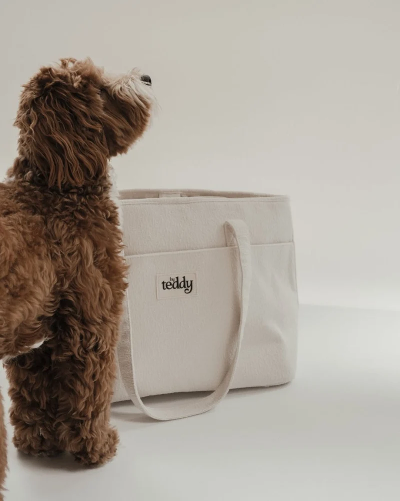 By Teddy Bouclé Pet Carrier | 2-in-1