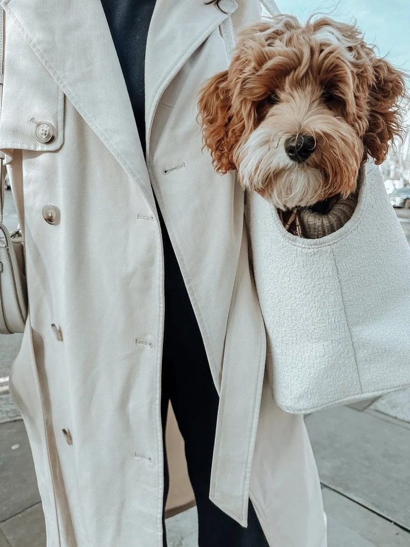 By Teddy Bouclé Pet Carrier | 2-in-1