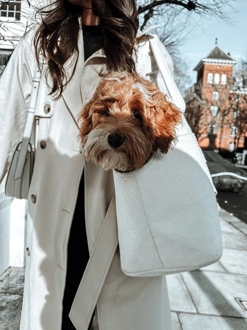 By Teddy Bouclé Pet Carrier | 2-in-1