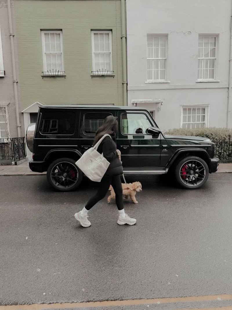 By Teddy Bouclé Pet Carrier | 2-in-1