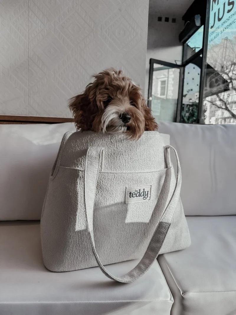 By Teddy Bouclé Pet Carrier | 2-in-1