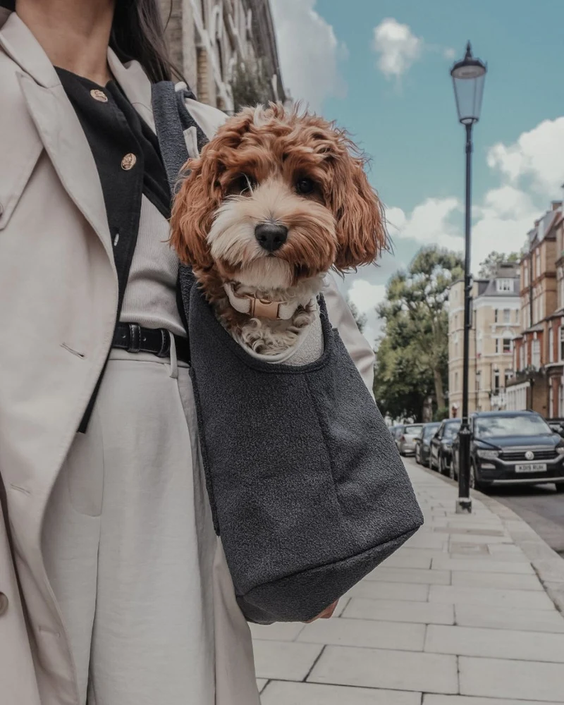 By Teddy Bouclé Pet Carrier | 2-in-1