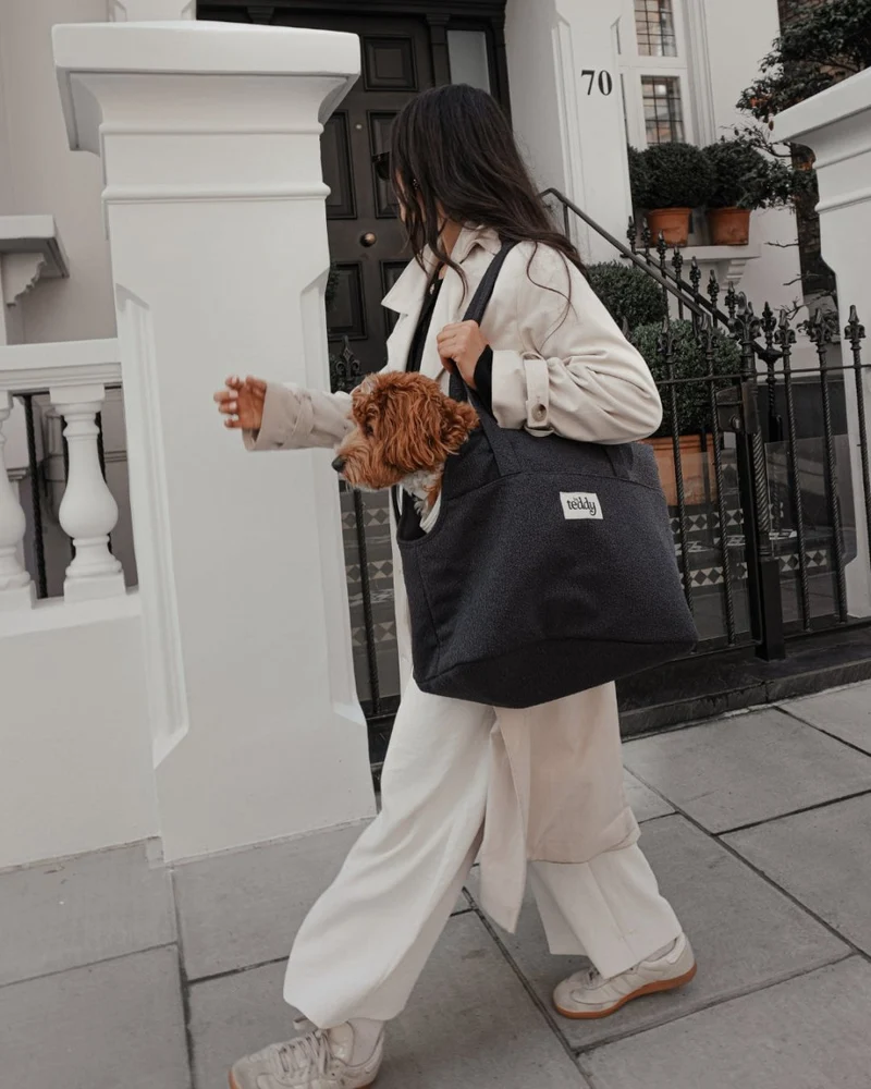 By Teddy Bouclé Pet Carrier | 2-in-1