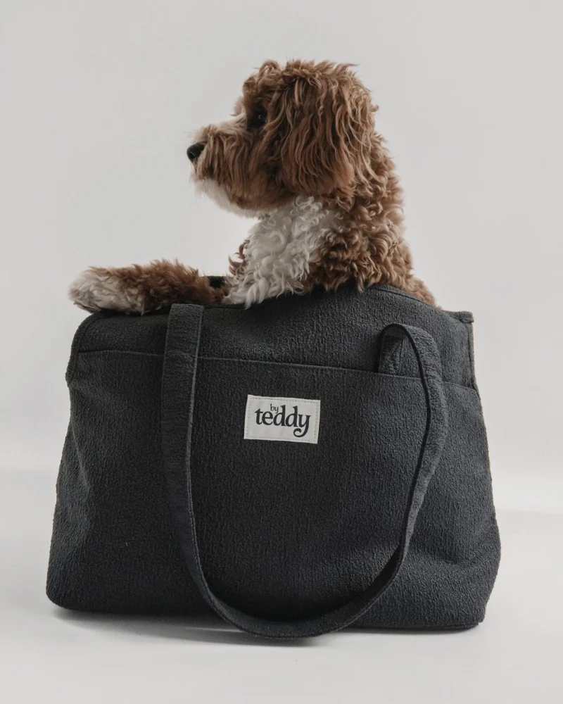 By Teddy Bouclé Pet Carrier | 2-in-1