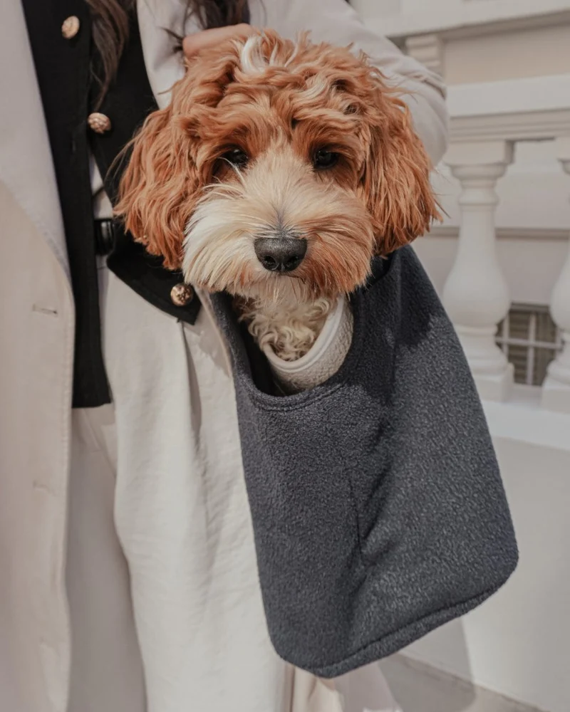 By Teddy Bouclé Pet Carrier | 2-in-1