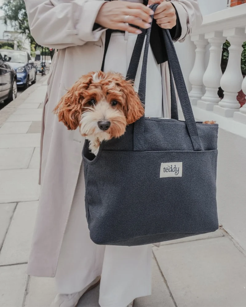 By Teddy Bouclé Pet Carrier | 2-in-1
