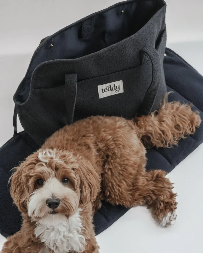 By Teddy Bouclé Pet Carrier | 2-in-1