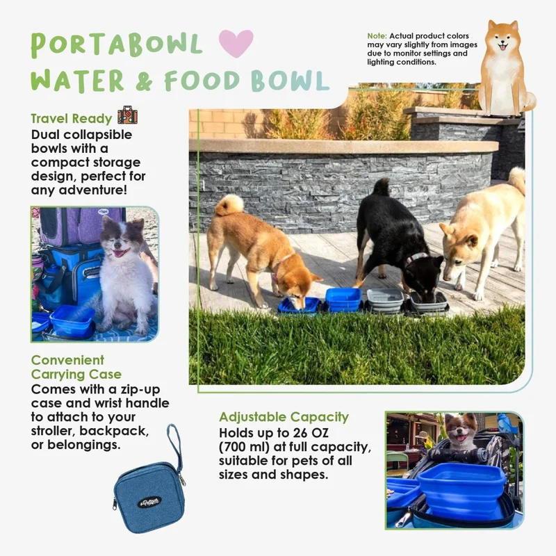 Petique 2-in-1 Portabowl | U.K.