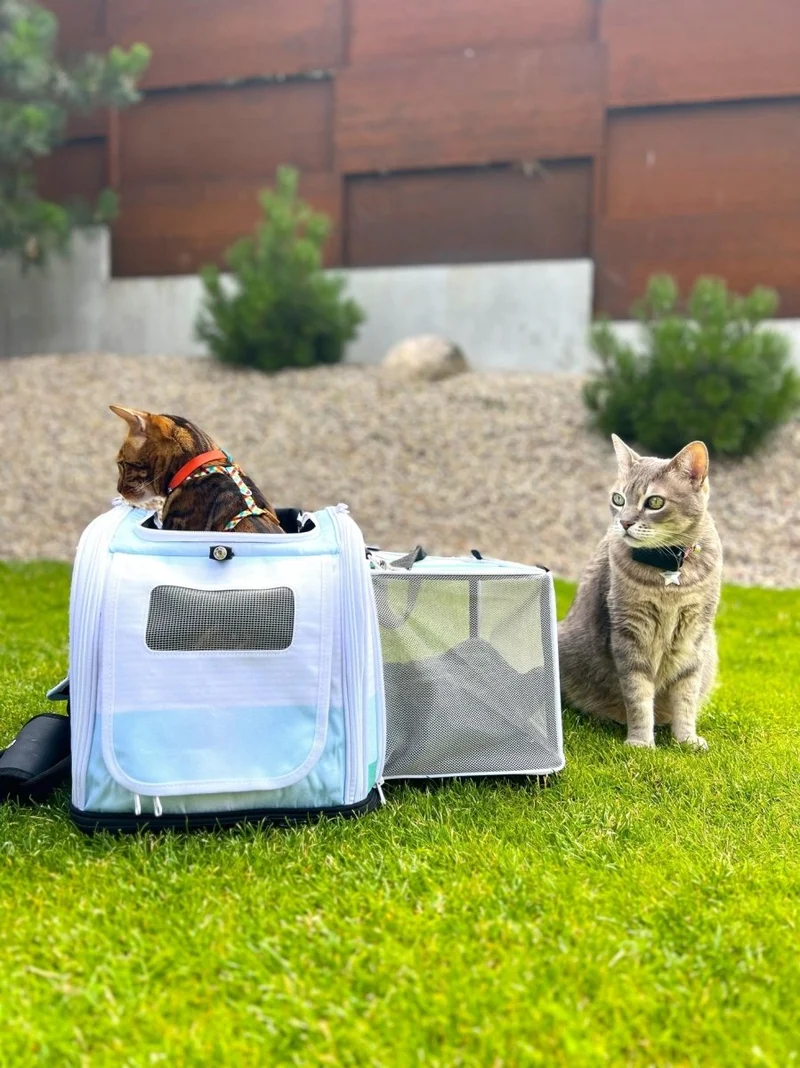 Kittyrama Waterproof Cat Carrier & Hideaway | Airline-Approved