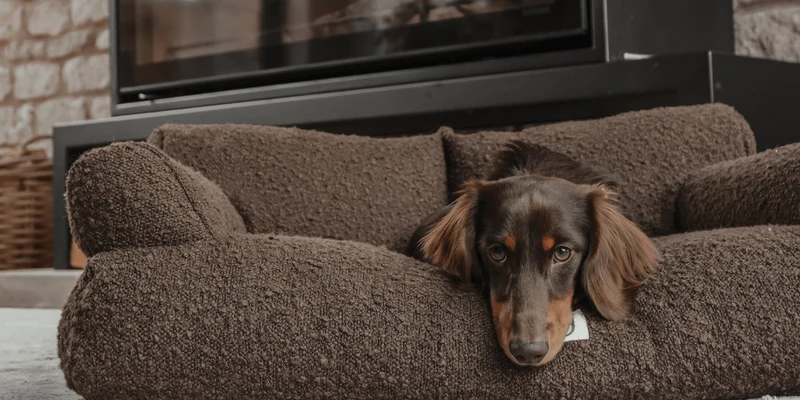 By Teddy The Teddington Sofa Dog Bed | Bouclé