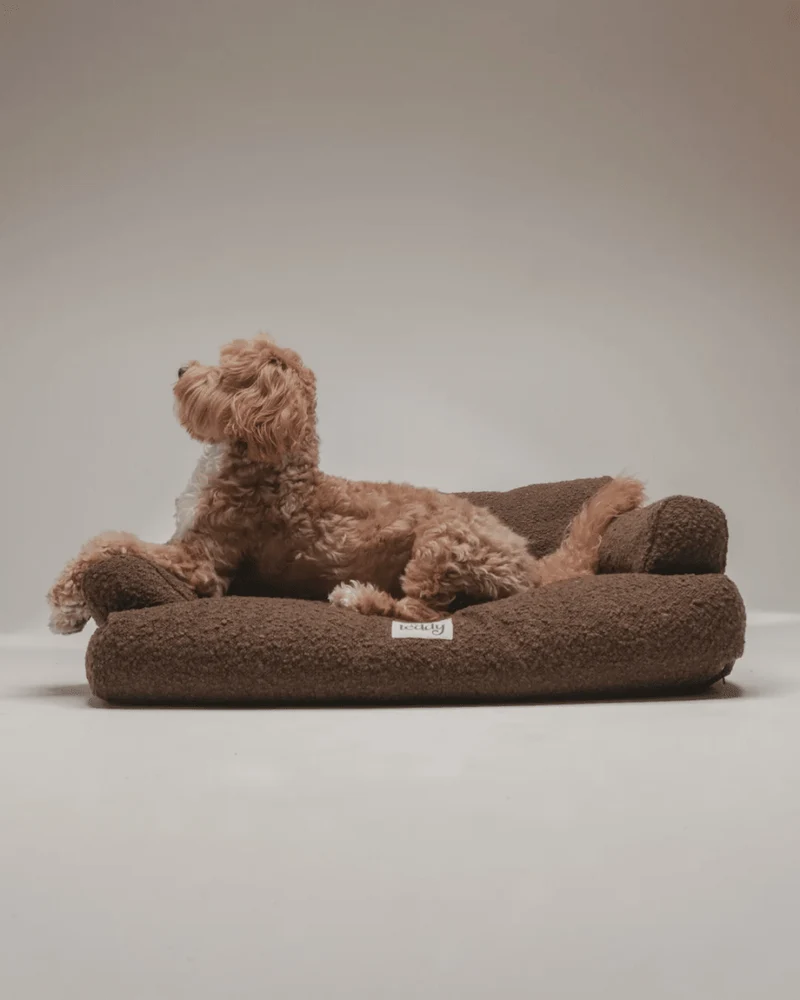 By Teddy The Teddington Sofa Dog Bed | Bouclé