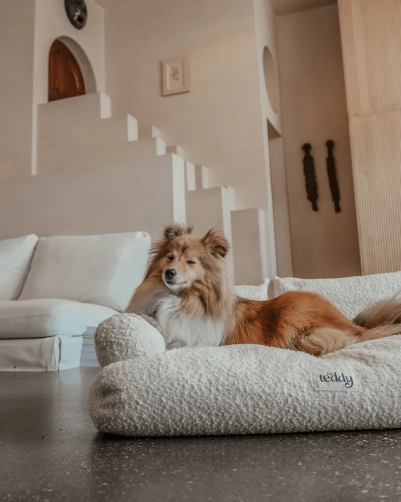By Teddy The Teddington Sofa Dog Bed | Bouclé