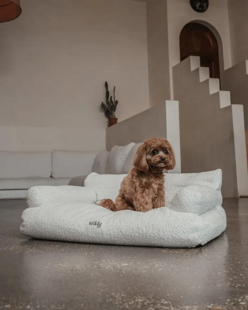 By Teddy The Teddington Sofa Dog Bed | Bouclé
