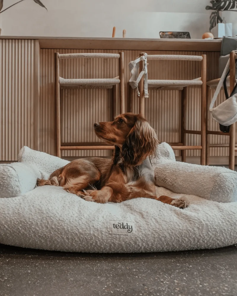 By Teddy The Teddington Sofa Dog Bed | Bouclé