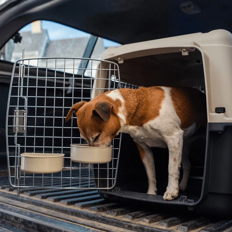 Henry Wag Airline Approved Travel Crate | Four Sizes | Optional Wheels