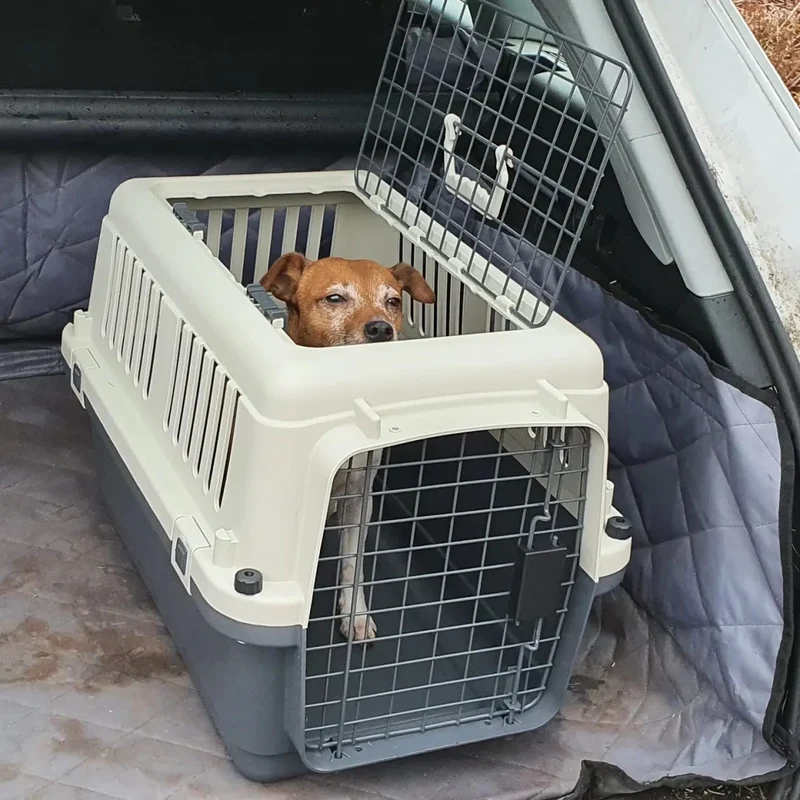 Henry Wag Open Top Pet Travel Crate