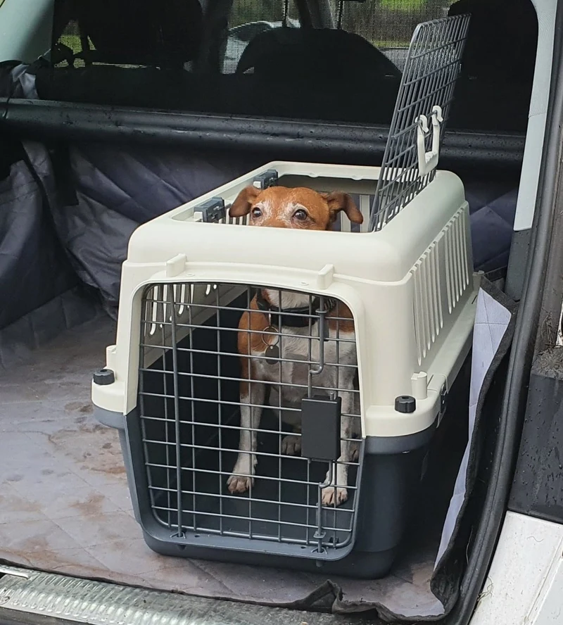 Henry Wag Open Top Pet Travel Crate
