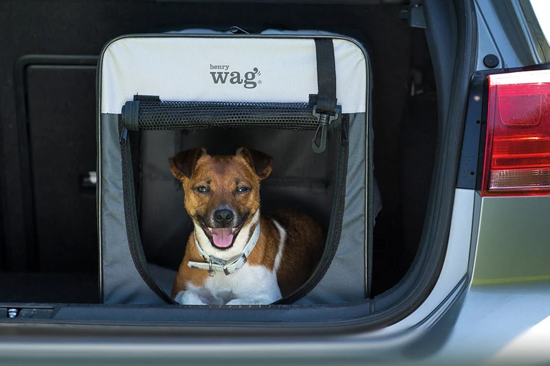 Henry Wag Folding Fabric Travel Pet Crate | 5 Sizes