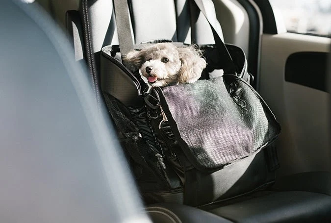 AirBuggy 3-Way Backpack Pet Carrier | Regular & Wide | Backpack, Front & Shoulder