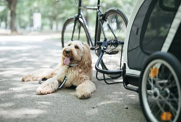 AirBuggy Nest Dog Bike Trailer Towbar