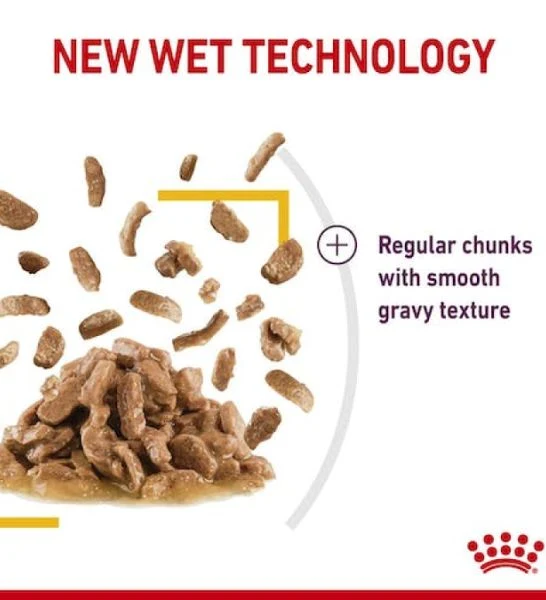 Royal Canin Feline Health Nutrition Sensory Taste Chunks In Gravy Cat Wet Food - Pack of 12