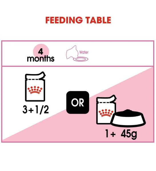 Royal Canin Kitten Instinctive in Jelly Wet Food 85G - Pack of 12
