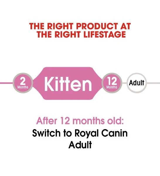 Royal Canin Kitten Instinctive in Jelly Wet Food 85G - Pack of 12