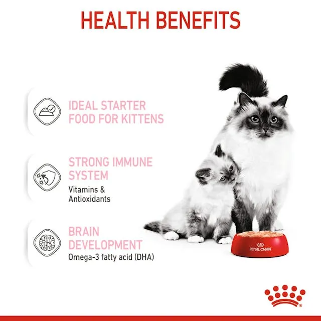 Royal Canin Mother & Babycat Mousse - Young & Adult Wet Cat Food 195g - Pack of 12