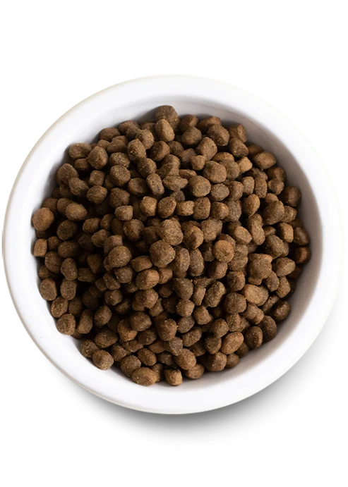 Open Farm Grain Free New Zealand Venison Dry Dog Food